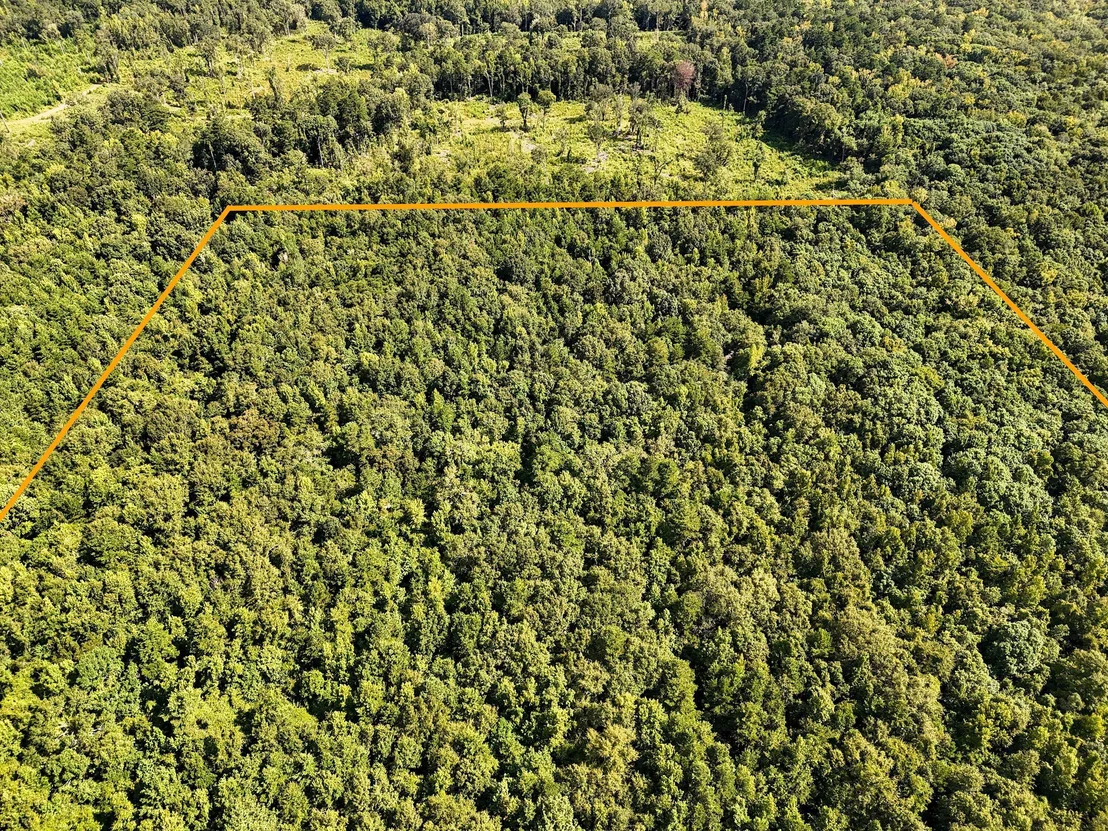 Photo of 40 Acres Mossy Bend Road