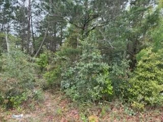 Photo of 7117 Snug Waters Road