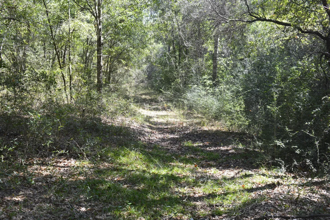 Photo of 2928 Aplin (33 ac.) Road