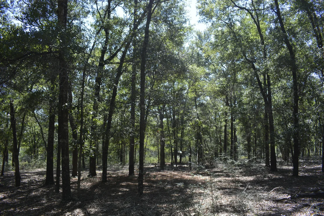Photo of 2928 Aplin (33 ac.) Road