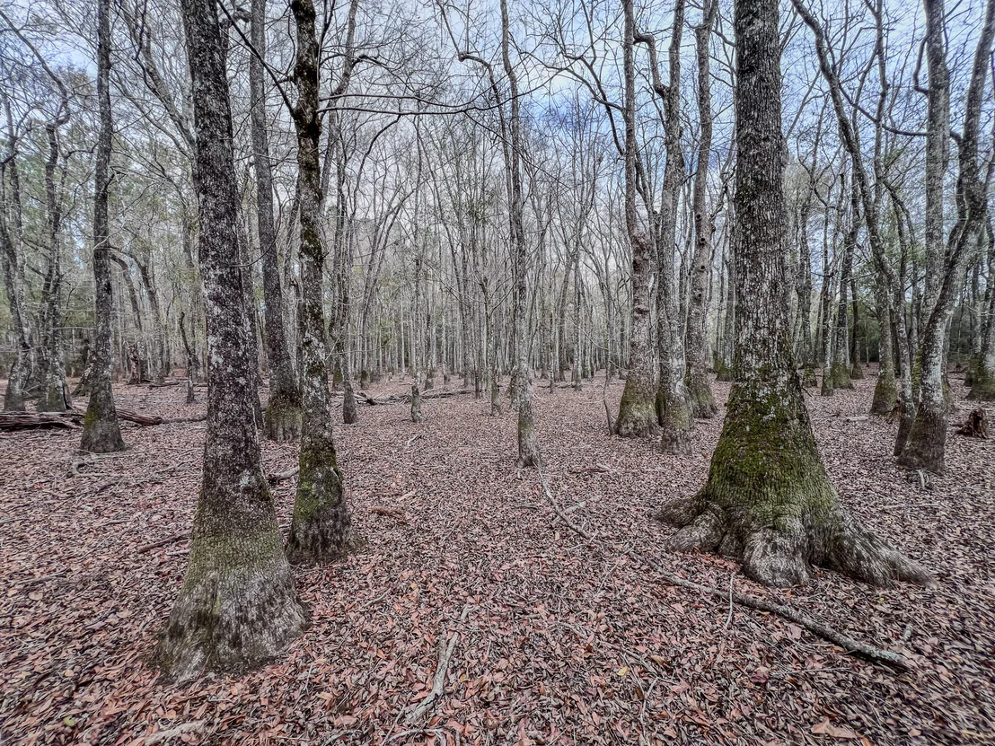 Photo of 4769 DAVIS RD