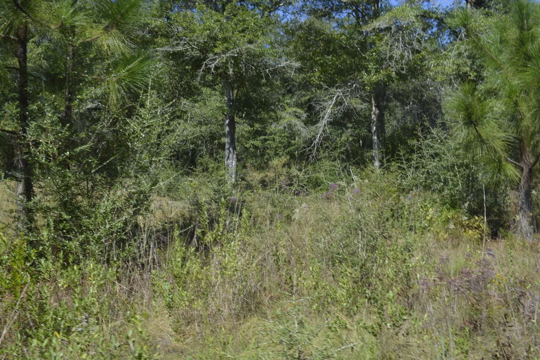 Photo of 2928 Aplin (33 ac.) Road