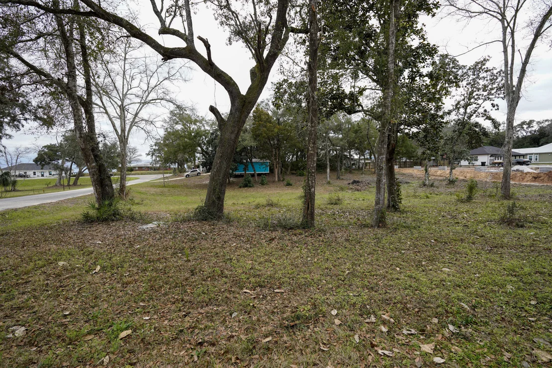 Photo of Lot 20 Satsuma Road