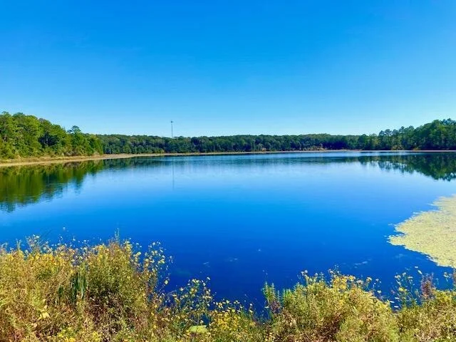 Photo of Lot 30 Holly Lake Court