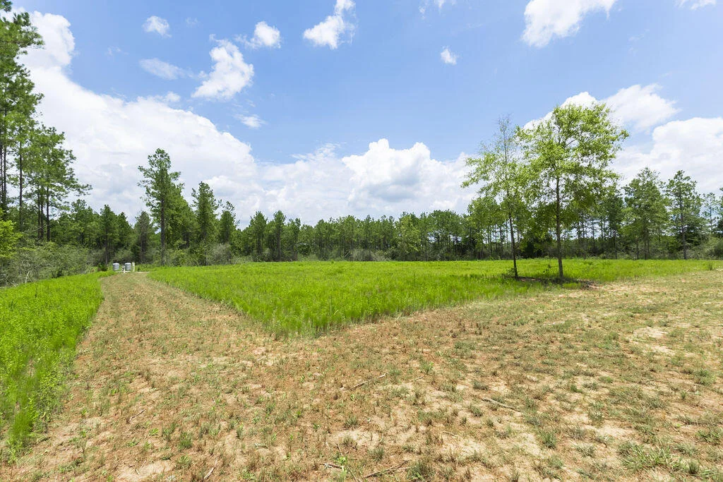 Photo of 8822 Naturewalk Drive