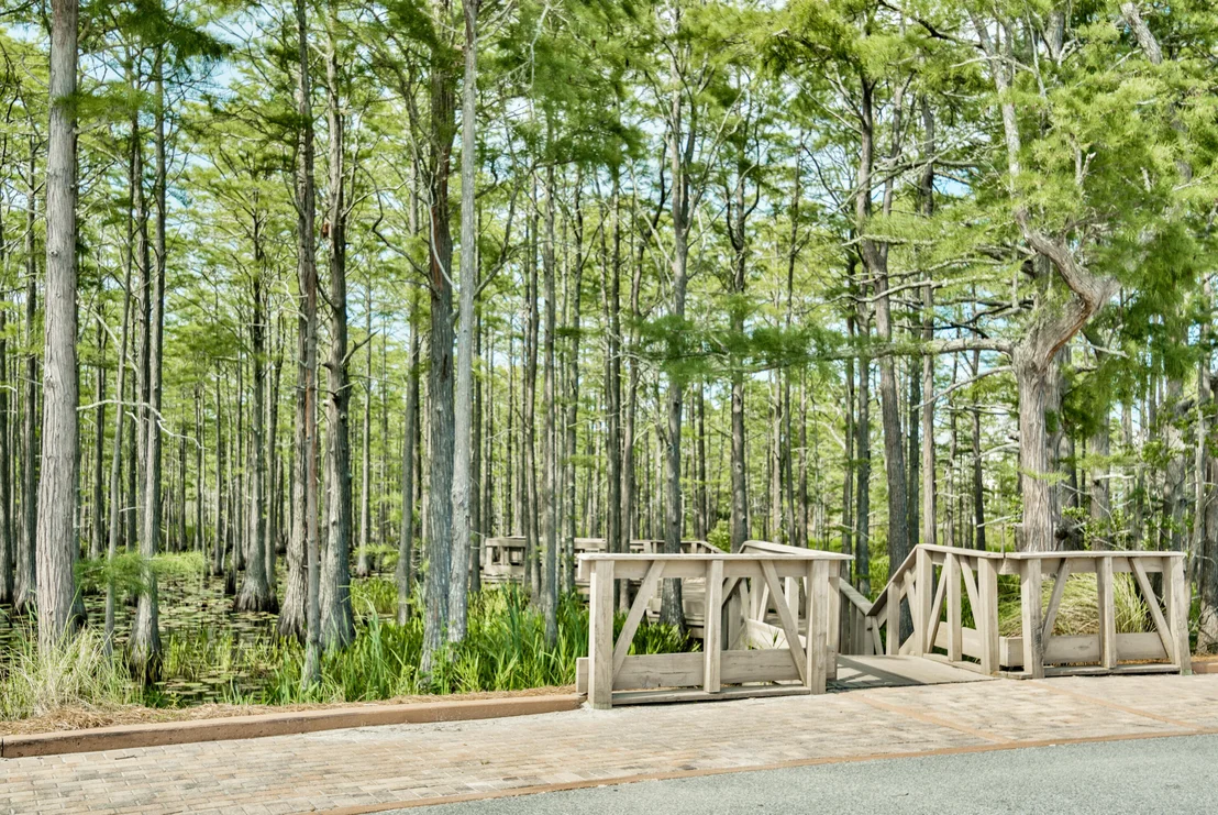 Photo of Lot 10 Cypress Drive