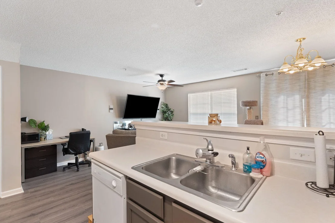Photo of 266 Swaying Pine Court