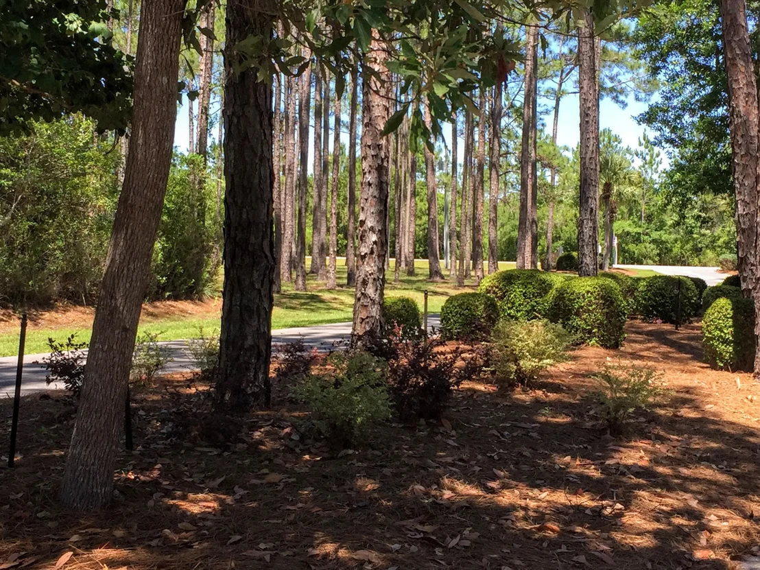 Photo of Lot 71 Harbour Trace