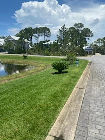 Photo of Lot 29 Shelley South Way
