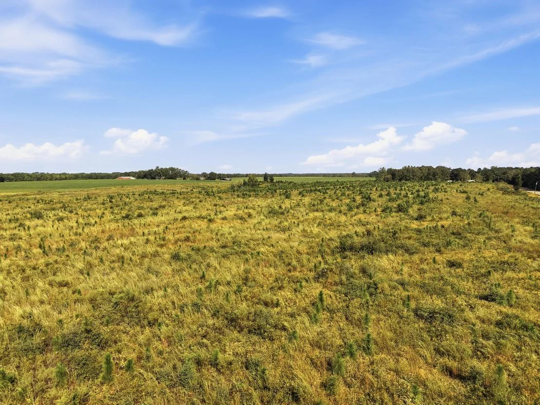 Photo of 10 Acres I Davidson Road