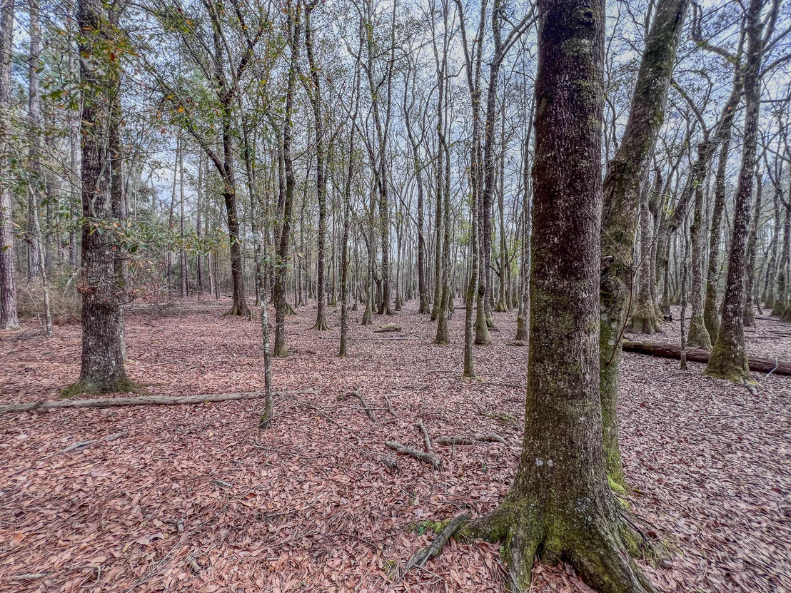 Photo of 4769 DAVIS RD