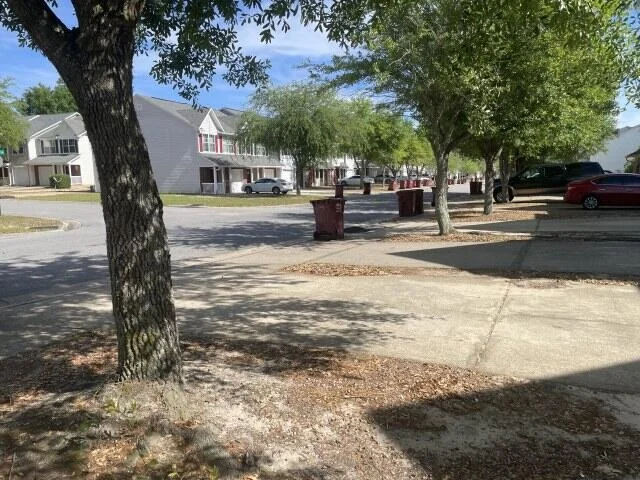 Photo of 197 Swaying Pine Court