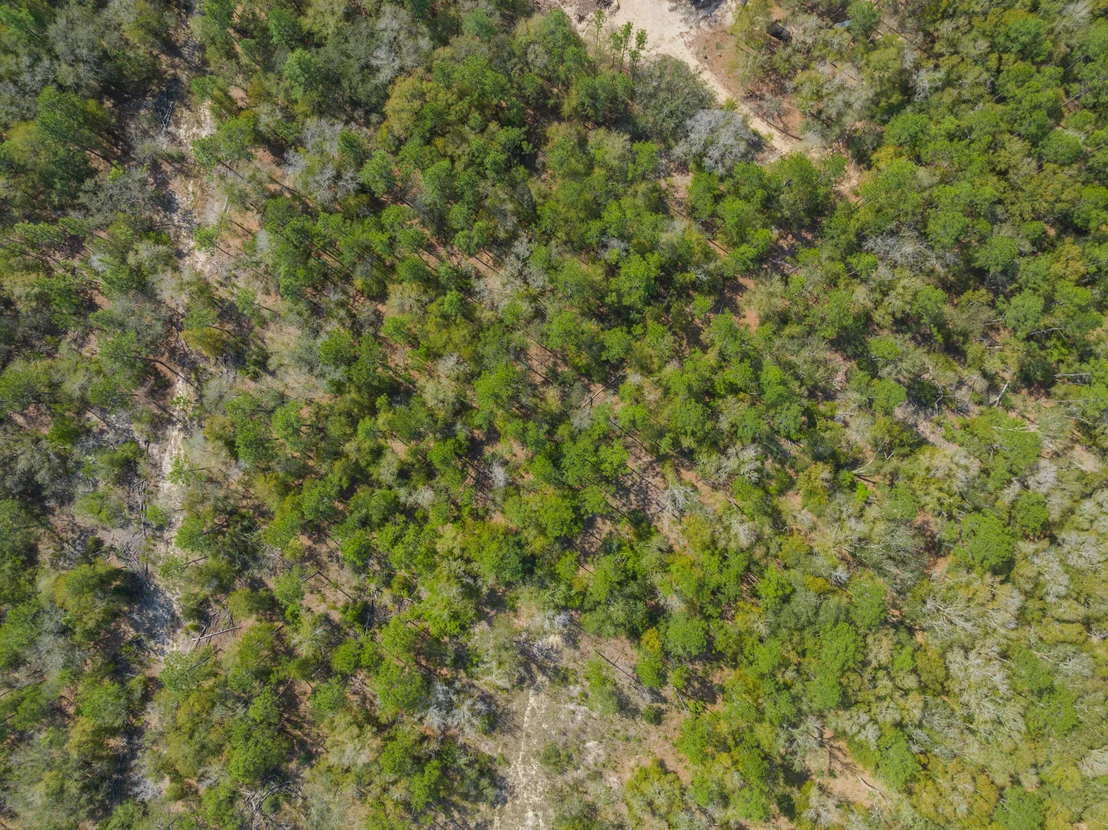 Photo of 4195 Whippoorwill Drive