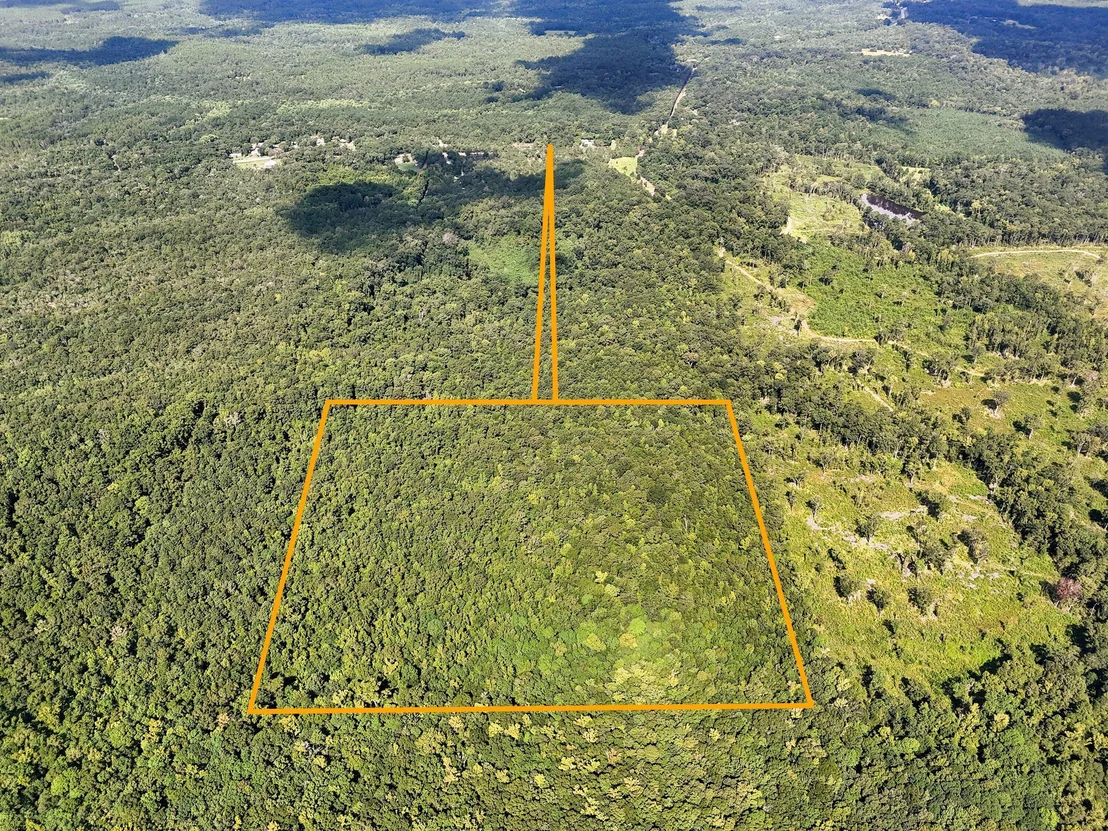 Photo of 40 Acres Mossy Bend Road