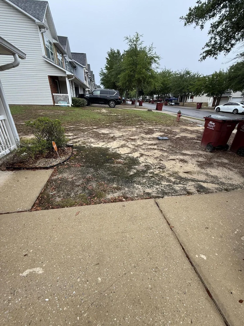 Photo of 197 Swaying Pine Court