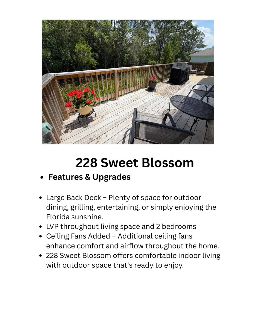 Photo of 228 Sweet Blossom