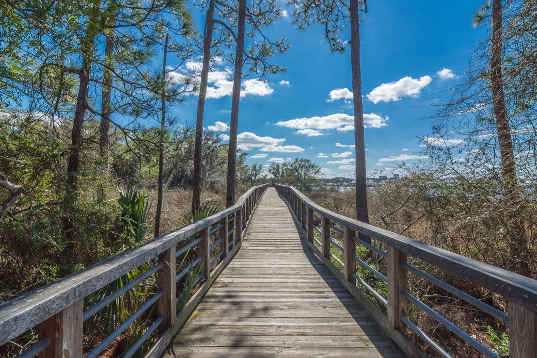 Photo of 2943 Pine Valley Drive