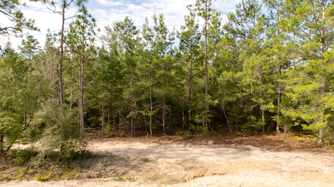 Photo of Lots 7-10 Tarpon Lane
