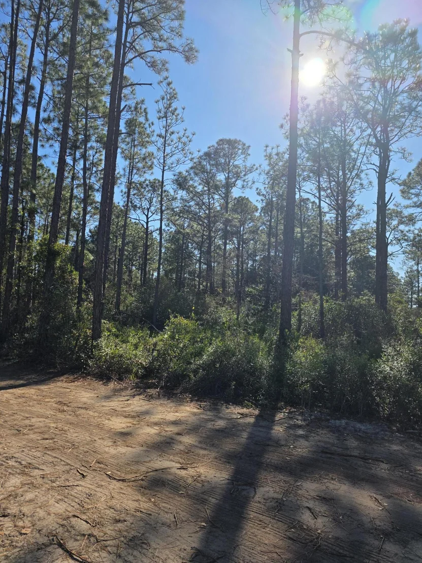 Photo of Lot 25 Quail Park