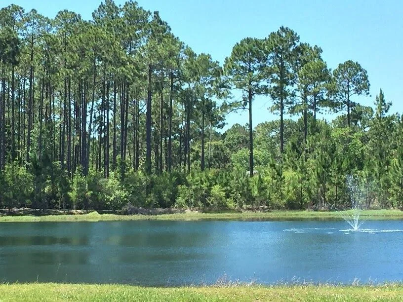 Photo of Lot 71 Harbour Trace