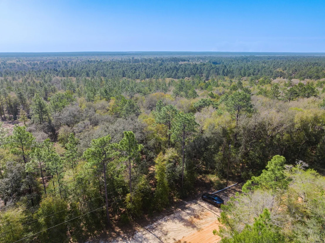 Photo of 4195 Whippoorwill Drive