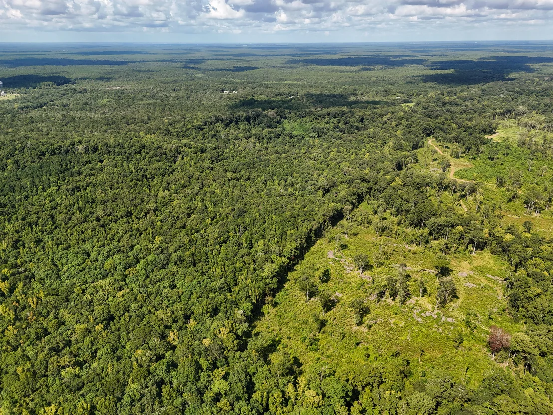 Photo of 40 Acres Mossy Bend Road