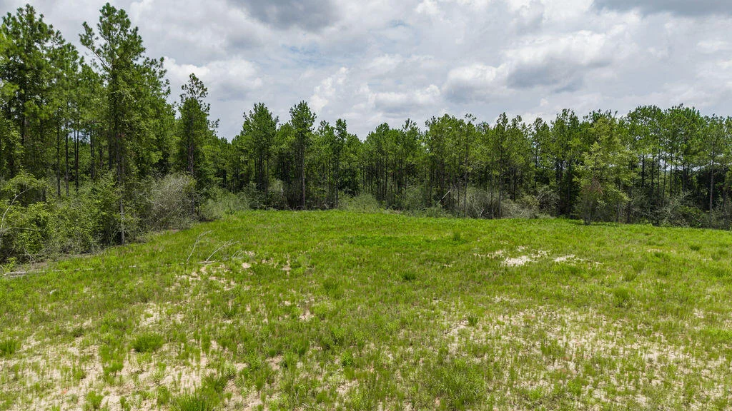 Photo of 8822 Naturewalk Drive