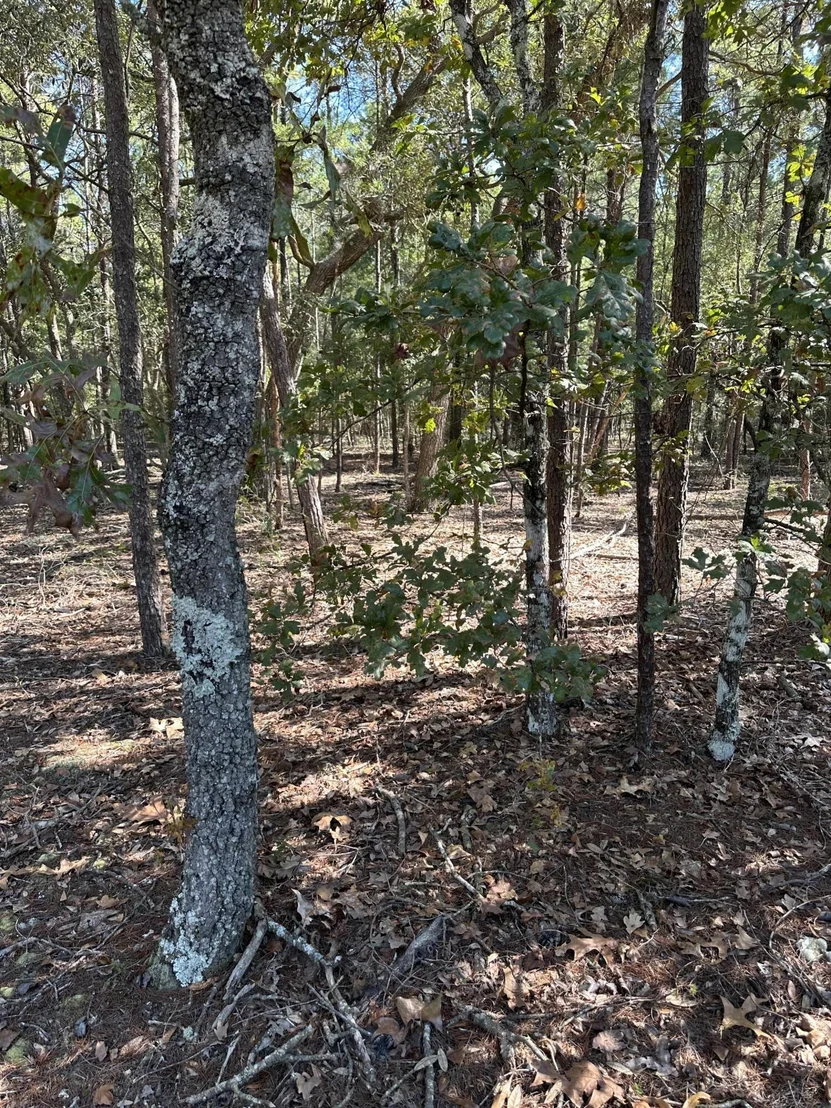 Photo of 134 Post Oak Road
