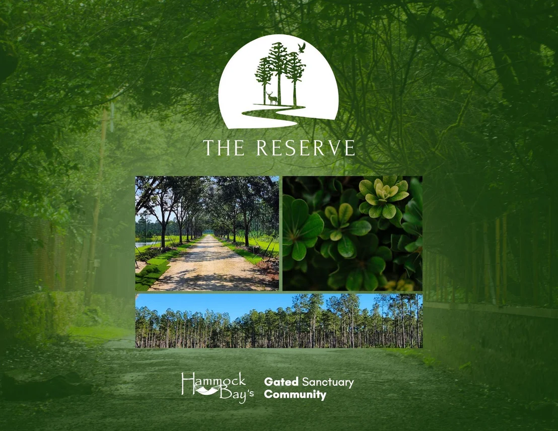 Photo of Lot 8 Reserve at Hammock Bay