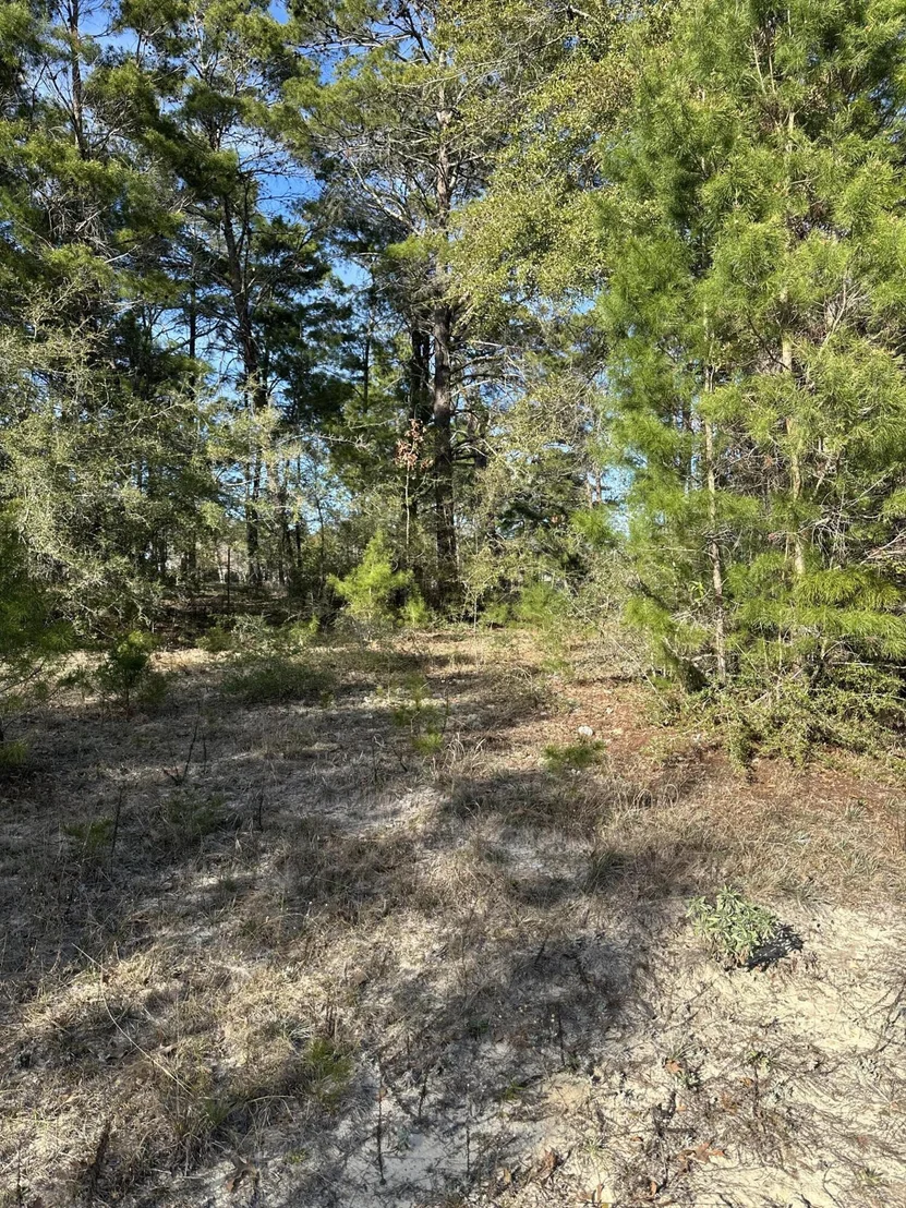 Photo of 5225 Kimp Road