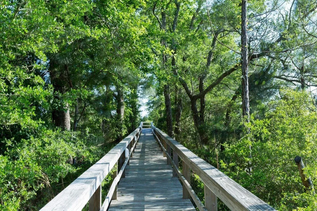 Photo of LOT 114 Oak