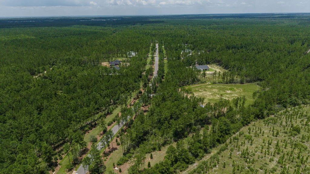 Photo of 8822 Naturewalk Drive