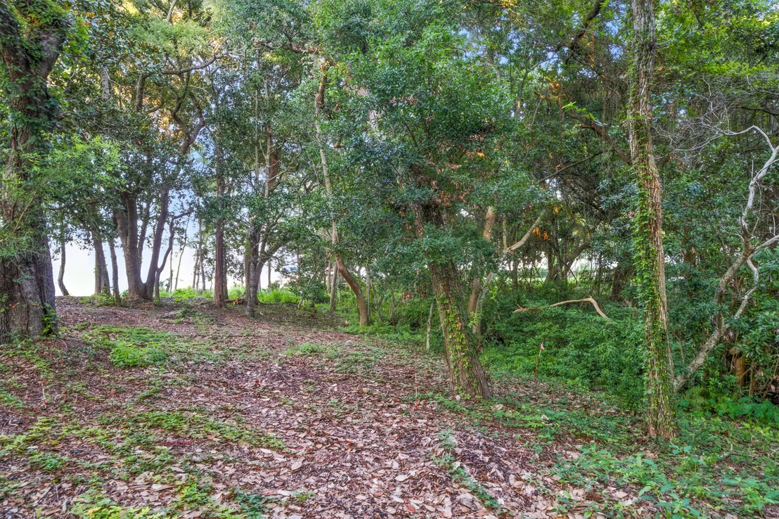 Photo of 3881 Indian Trail