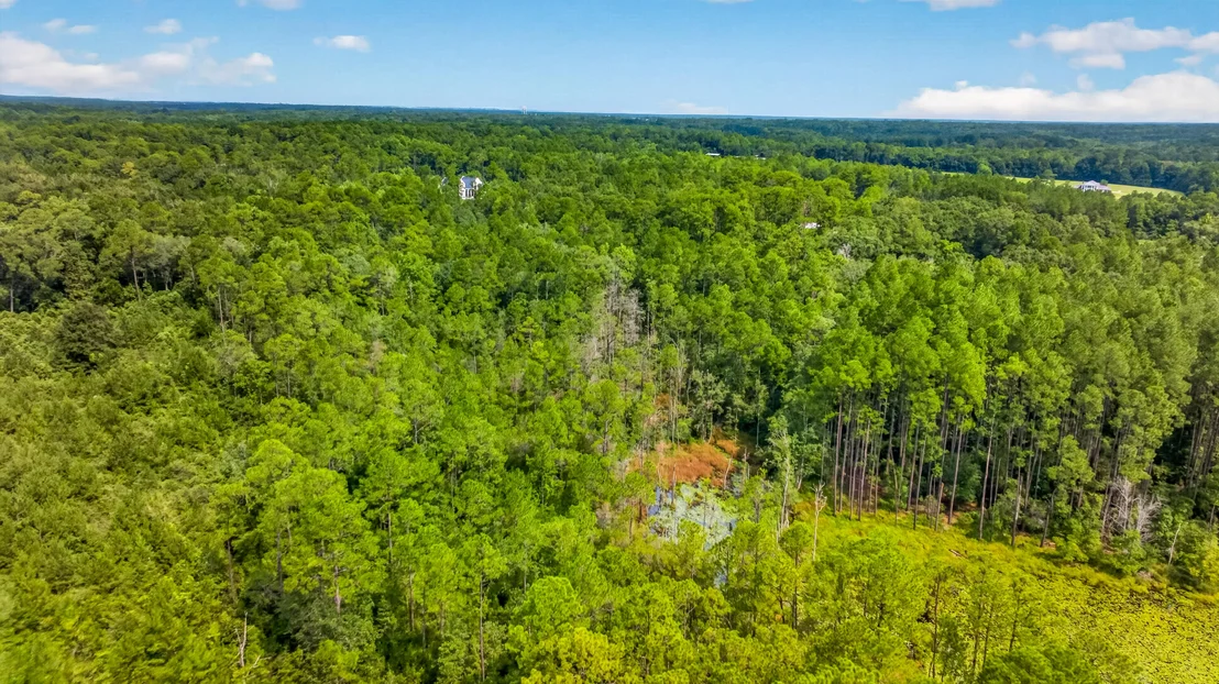 Photo of 1694 Co Hwy 280A