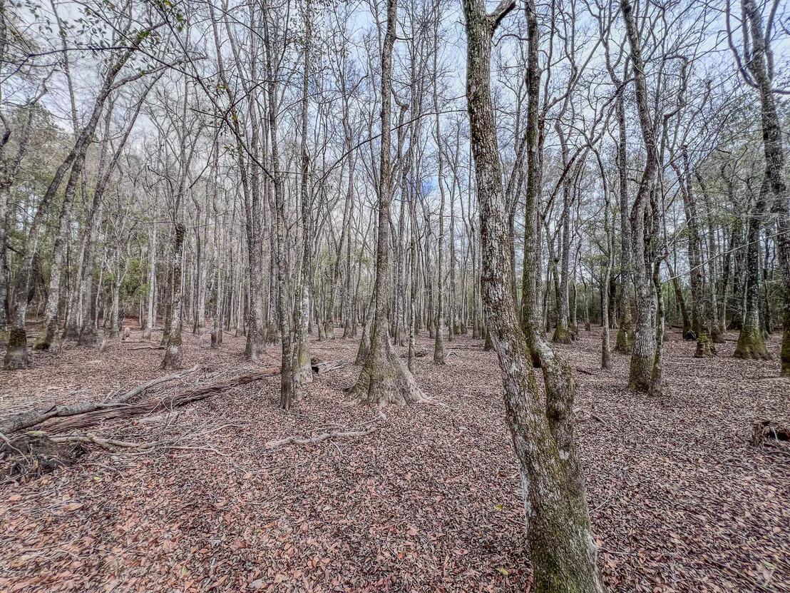 Photo of 4769 DAVIS RD