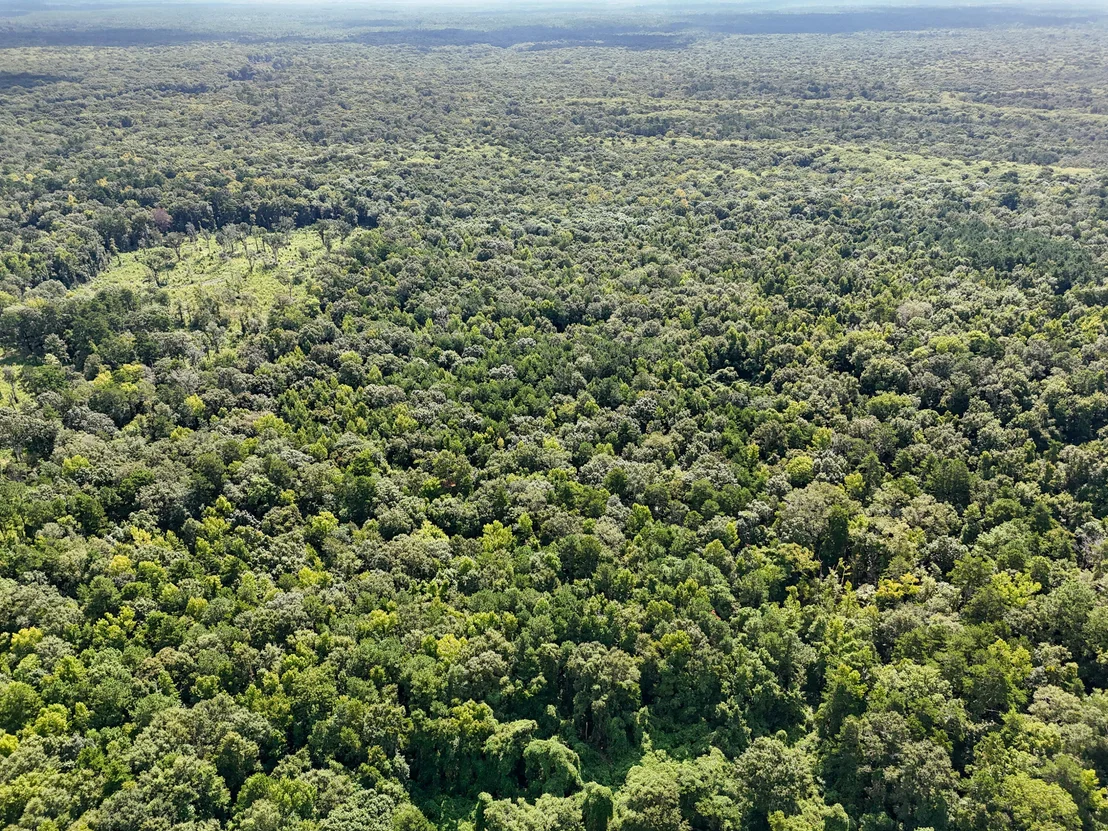 Photo of 40 Acres Mossy Bend Road