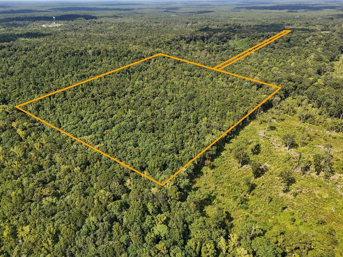 Photo of 40 Acres Mossy Bend Road