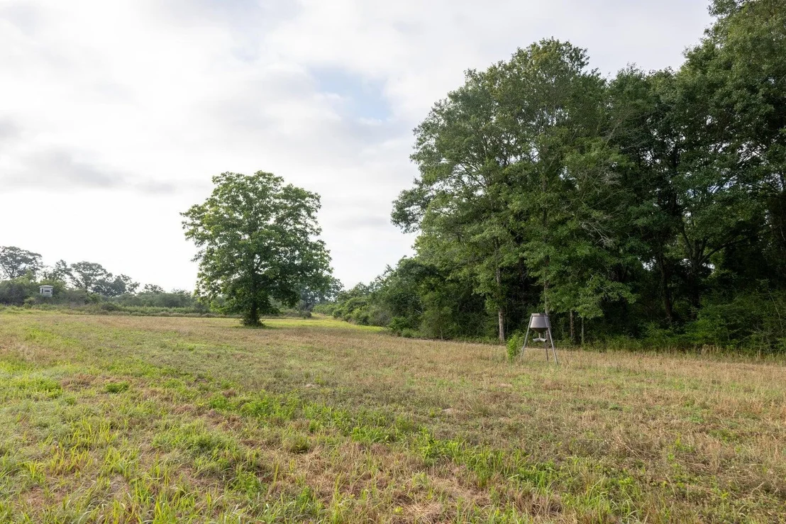 Photo of 405 Walden Lane