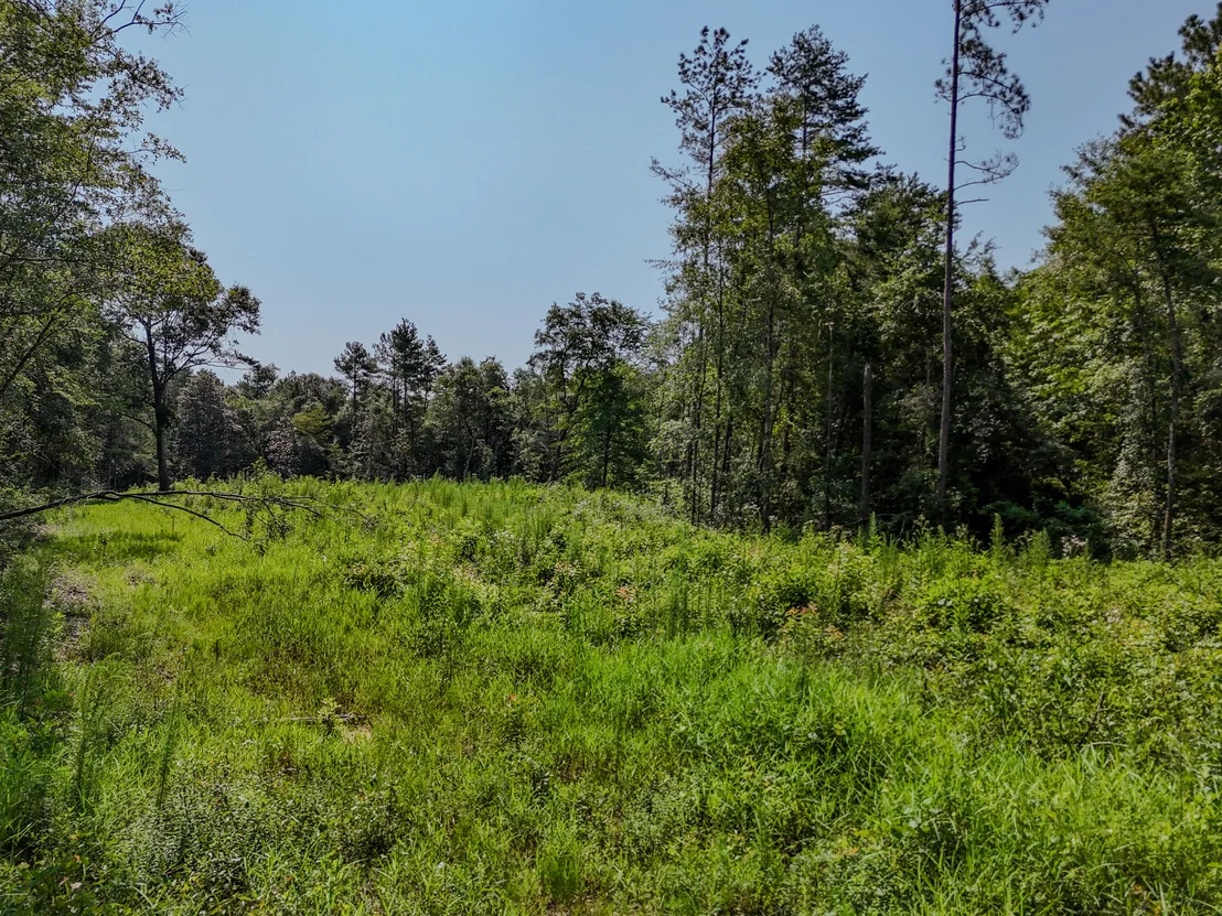 Photo of 3128 County Road 10