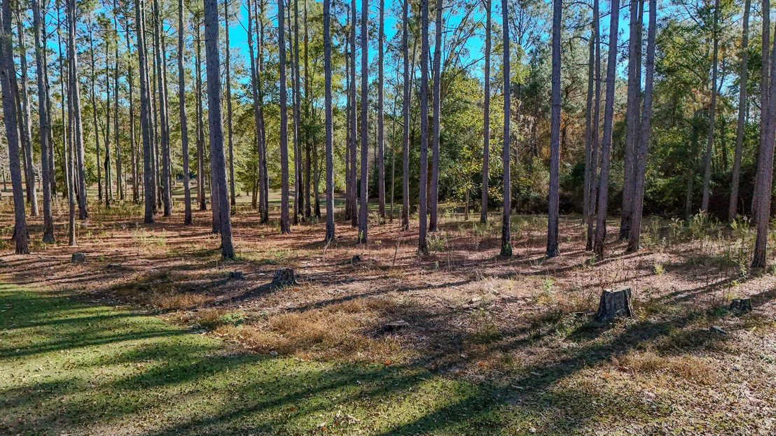 Photo of 1981 Parrish Rd Road