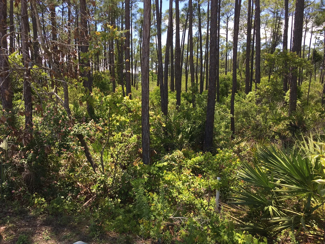 Photo of Lot 29 Shelley South Way