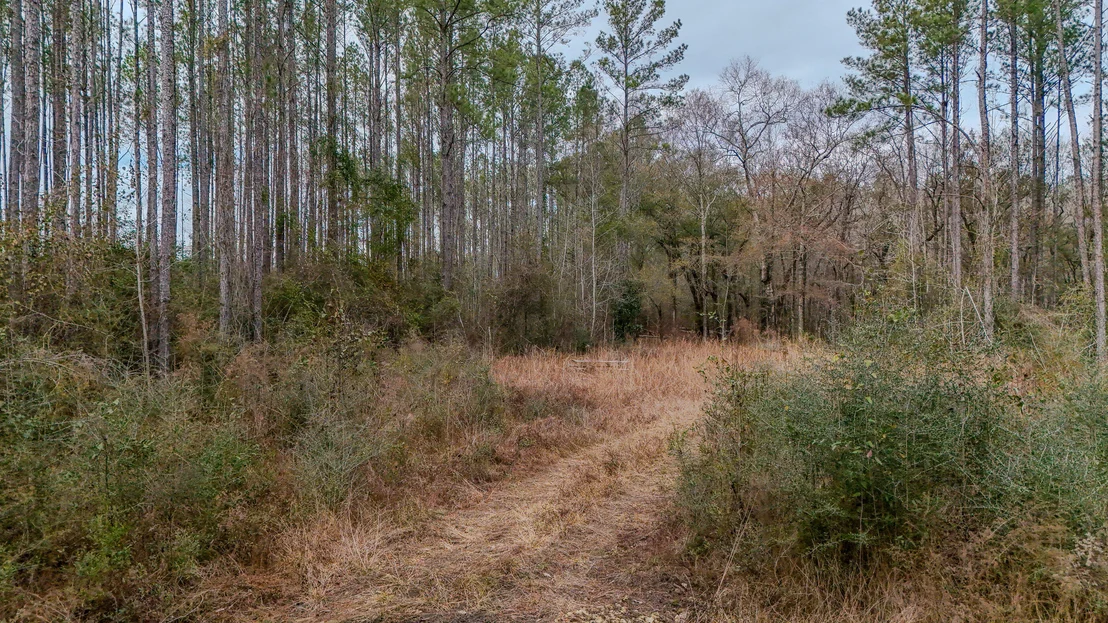 Photo of 4769 DAVIS RD