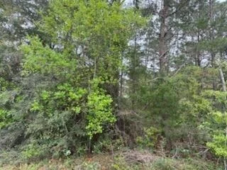 Photo of 7117 Snug Waters Road