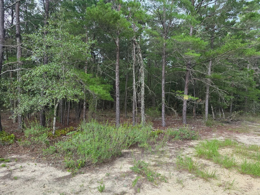 Photo of 134 Post Oak Road