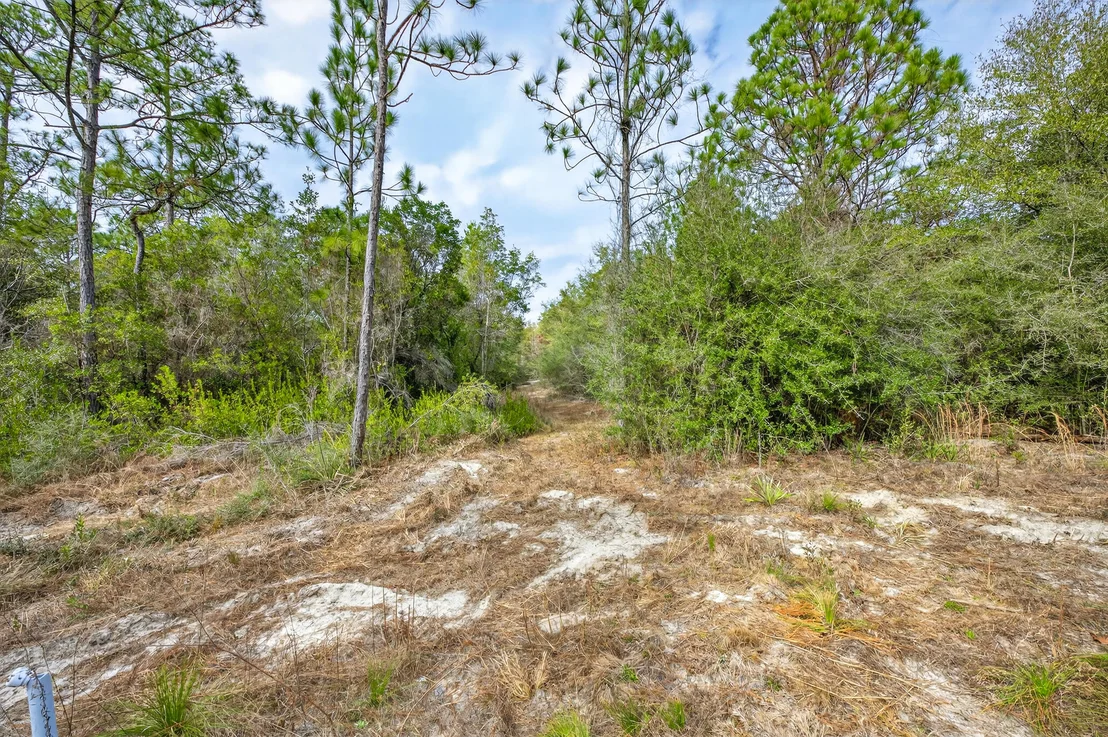 Photo of 3842 Bear Head Road