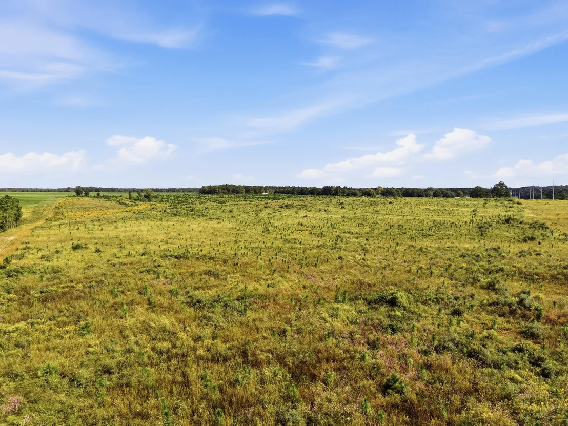 Photo of 10 Acres I Davidson Road