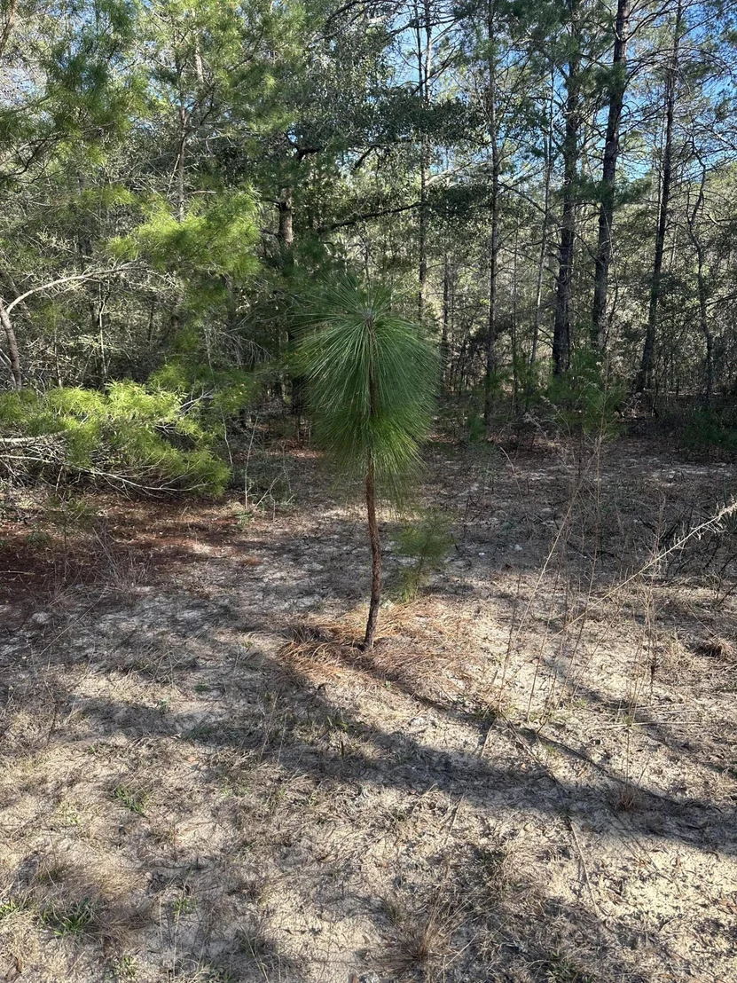 Photo of 5225 Kimp Road