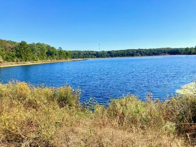 Photo of Lot 30 Holly Lake Court