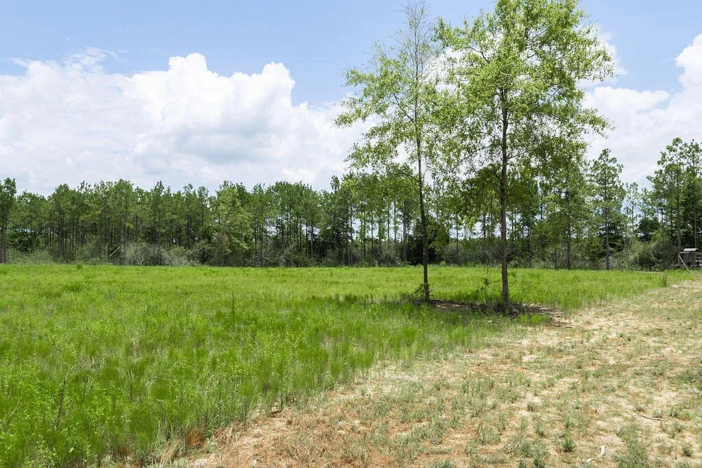 Photo of 8822 Naturewalk Drive