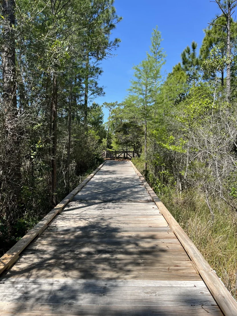 Photo of 305 Flatwoods Forest Loop